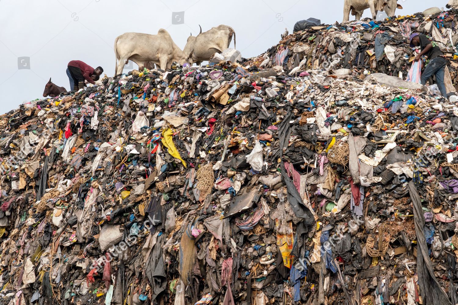 Unsellable Imported Used Clothes Rot Dumpsite Editorial Stock Photo Stock Image Shutterstock