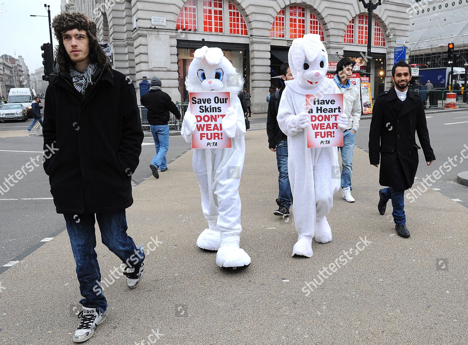 Protesting Peta Rabbits Editorial Stock Photo - Stock Image | Shutterstock