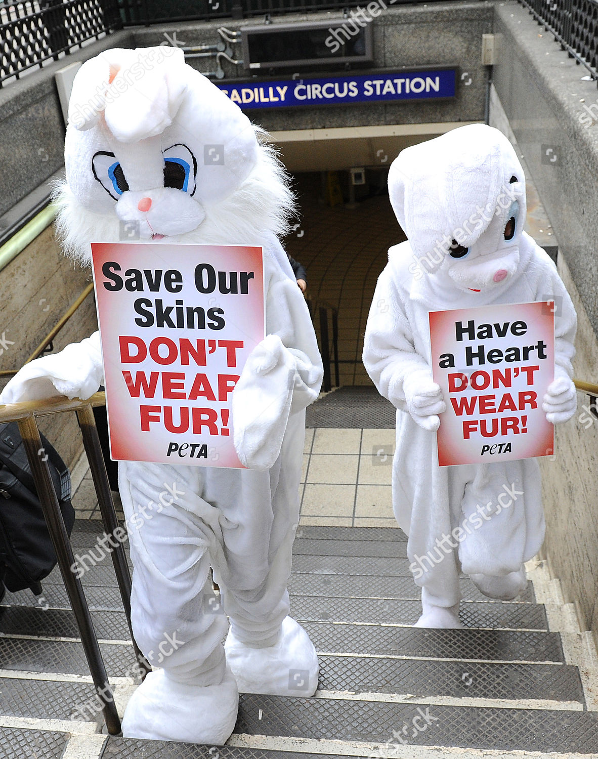 Protesting Peta Rabbits Editorial Stock Photo - Stock Image | Shutterstock