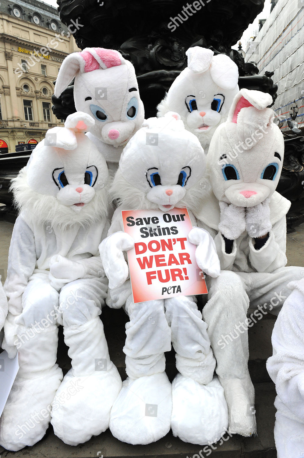 Protesting Peta Rabbits Editorial Stock Photo - Stock Image | Shutterstock