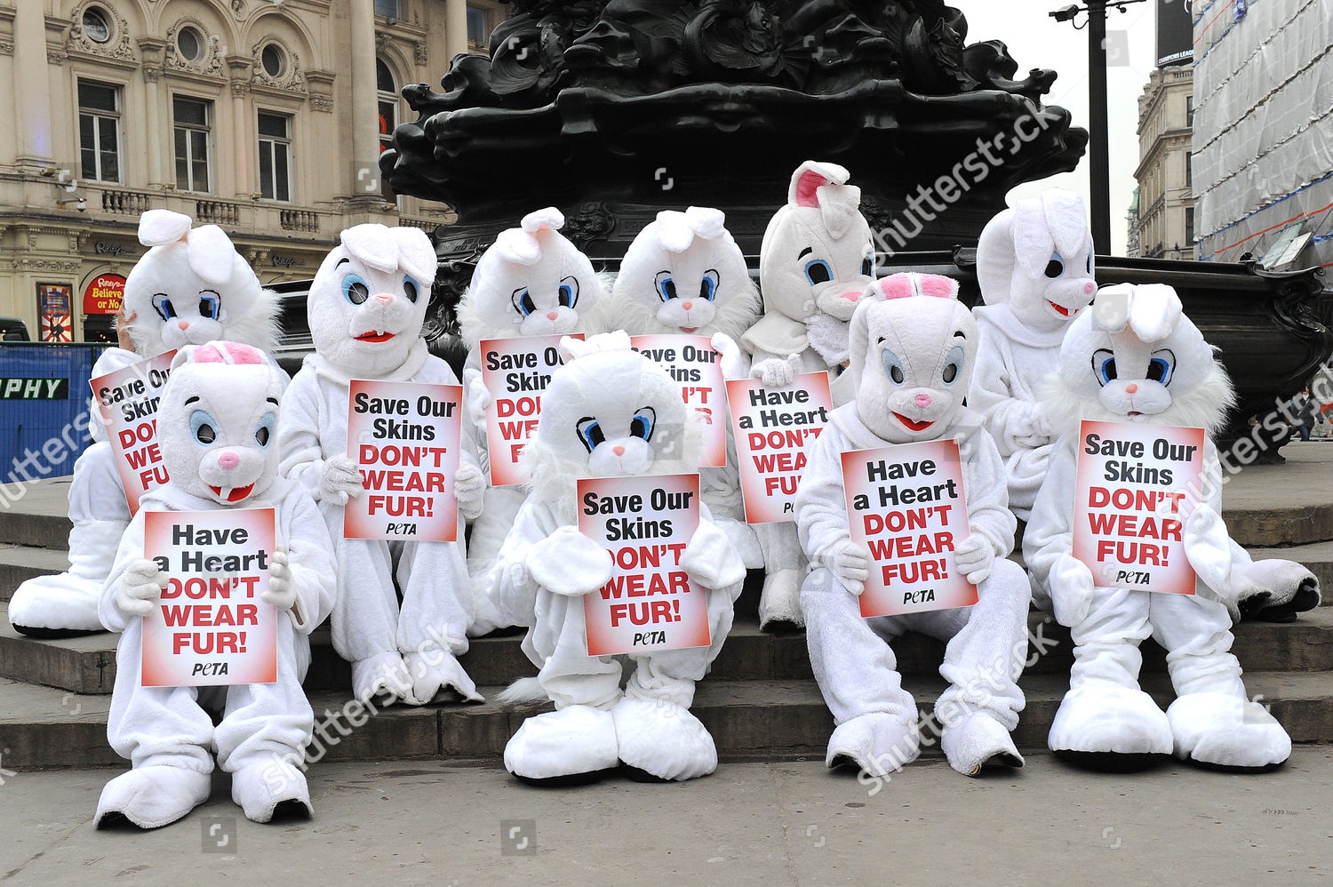 Protesting Peta Rabbits Editorial Stock Photo - Stock Image | Shutterstock