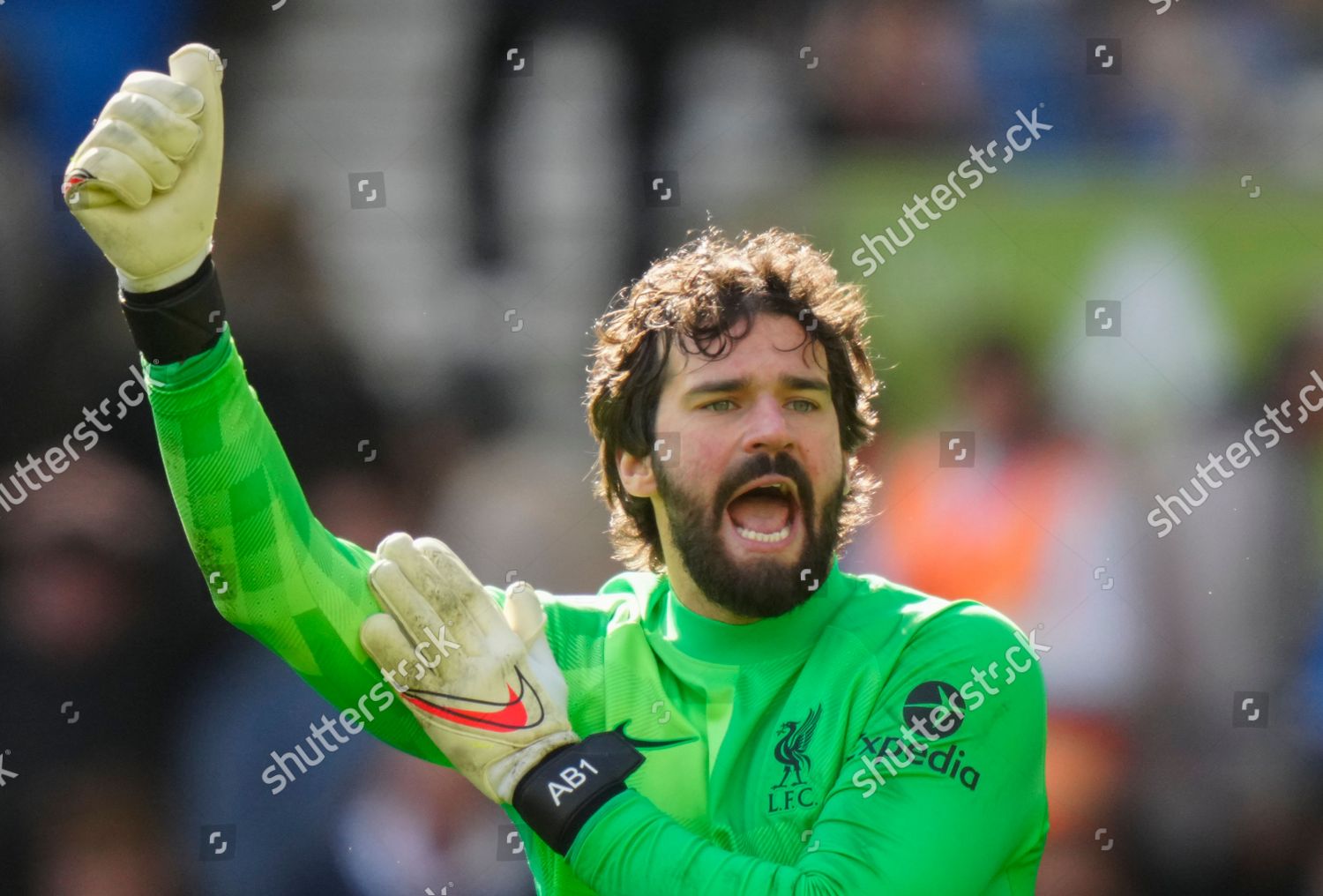 Liverpool Goalkeeper Alisson Becker Editorial Stock Photo - Stock Image ...