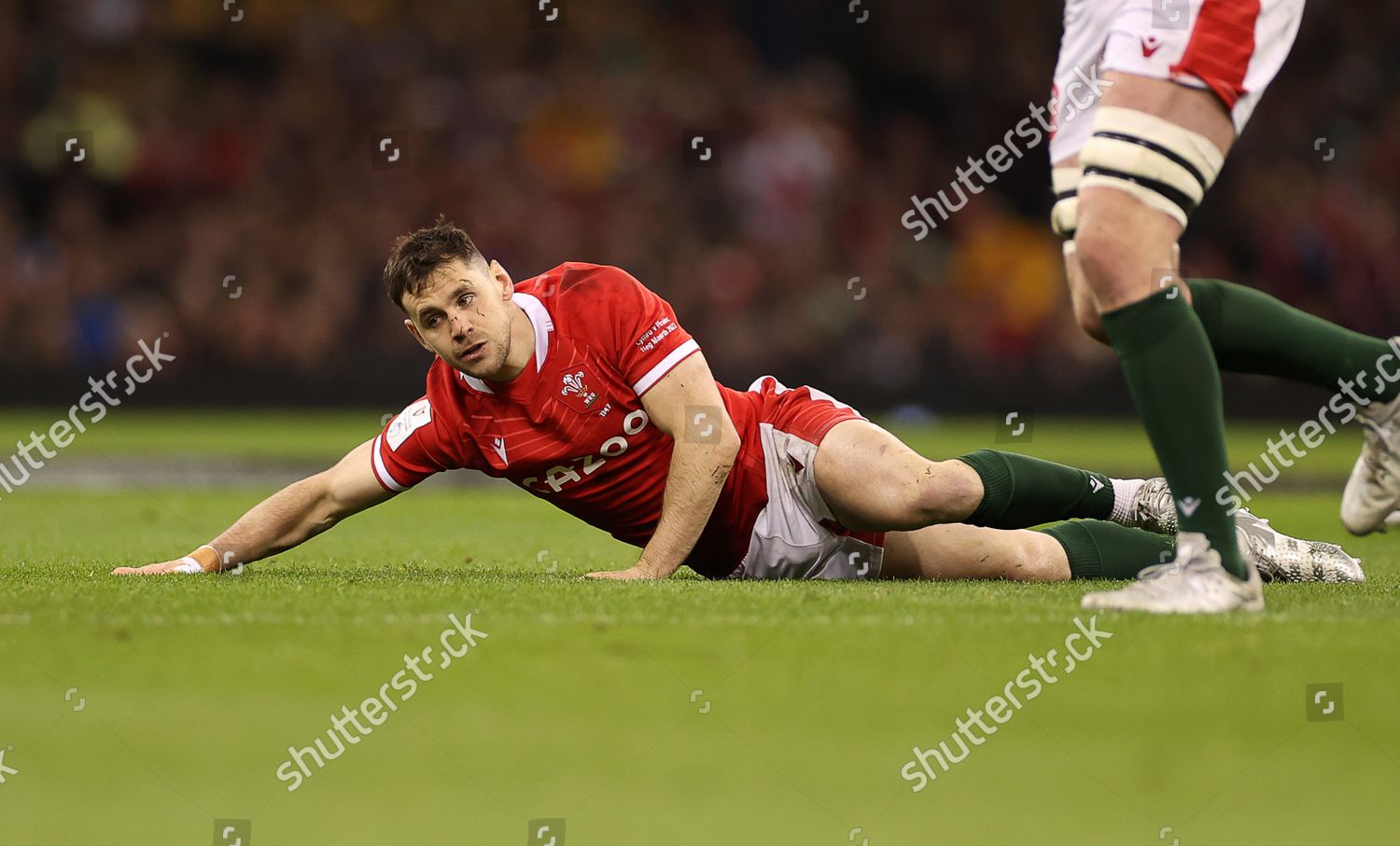 Tomos Williams Wales Seen Struggling After Editorial Stock Photo ...