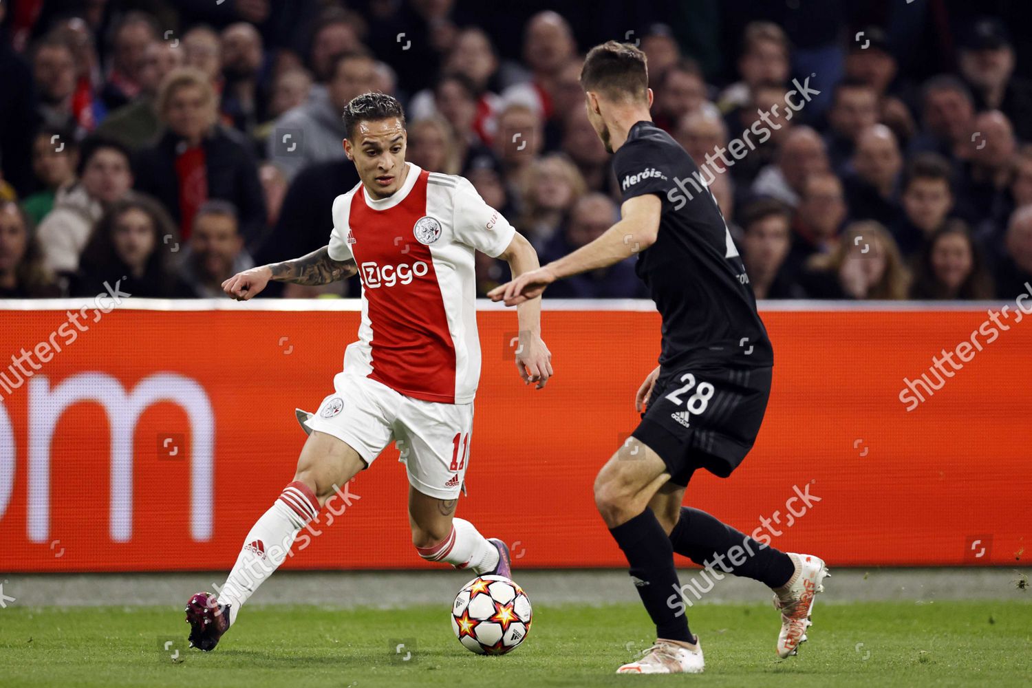 Ajax vs benfica
