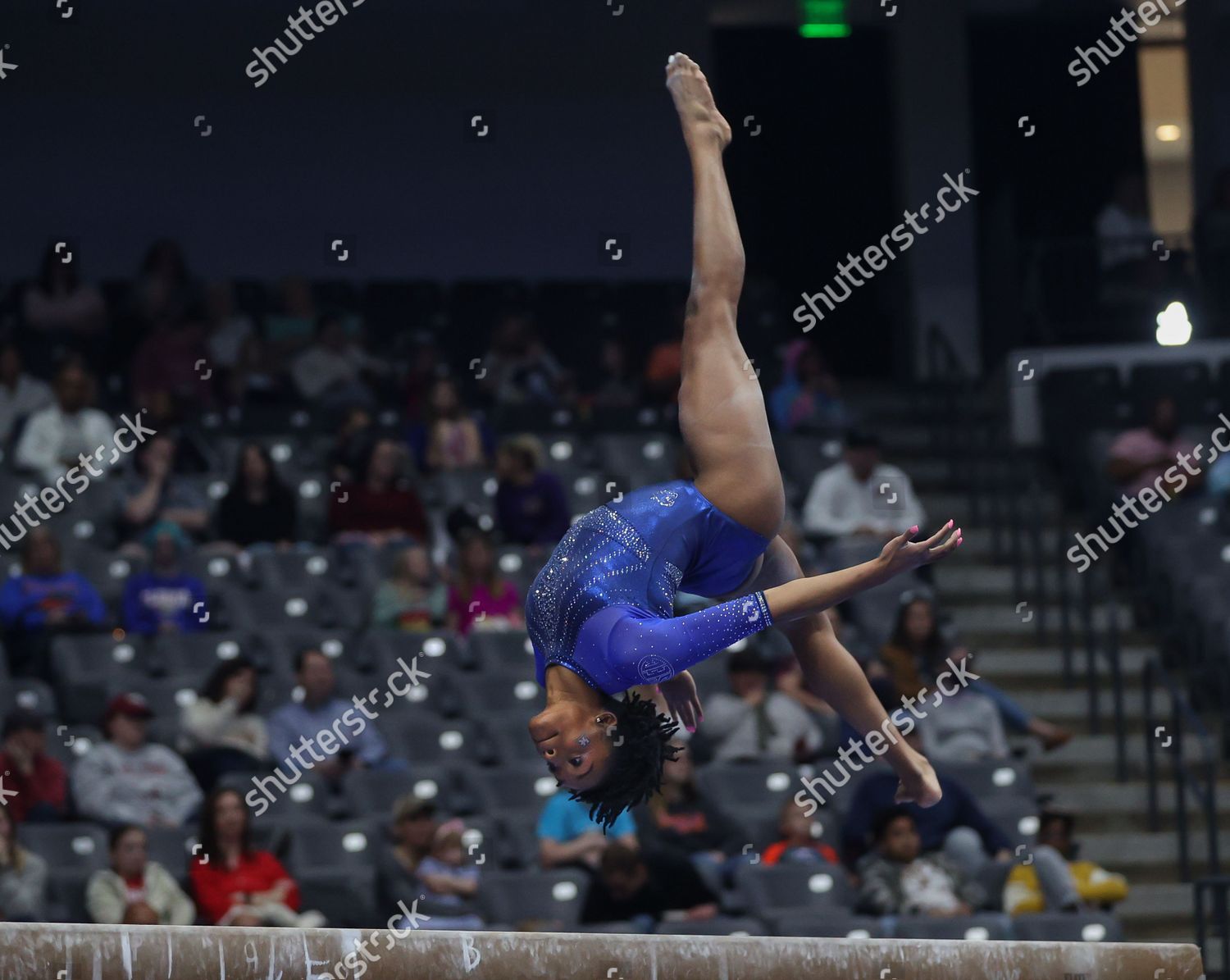 During Sec Womens Gymnastics Championships Legacy Editorial Stock Photo