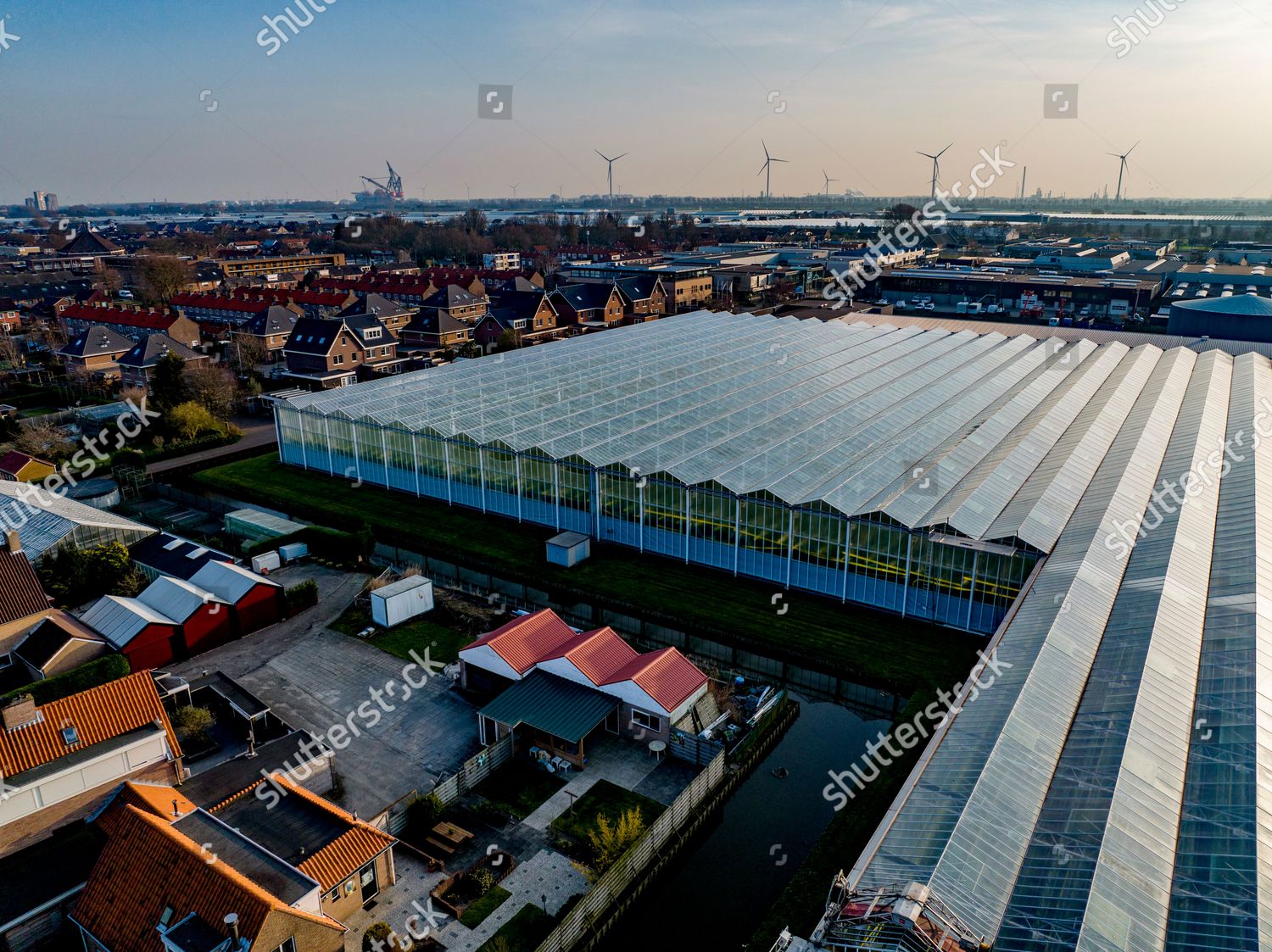 Greenhouses Located Westland Westland Best Known Editorial Stock Photo