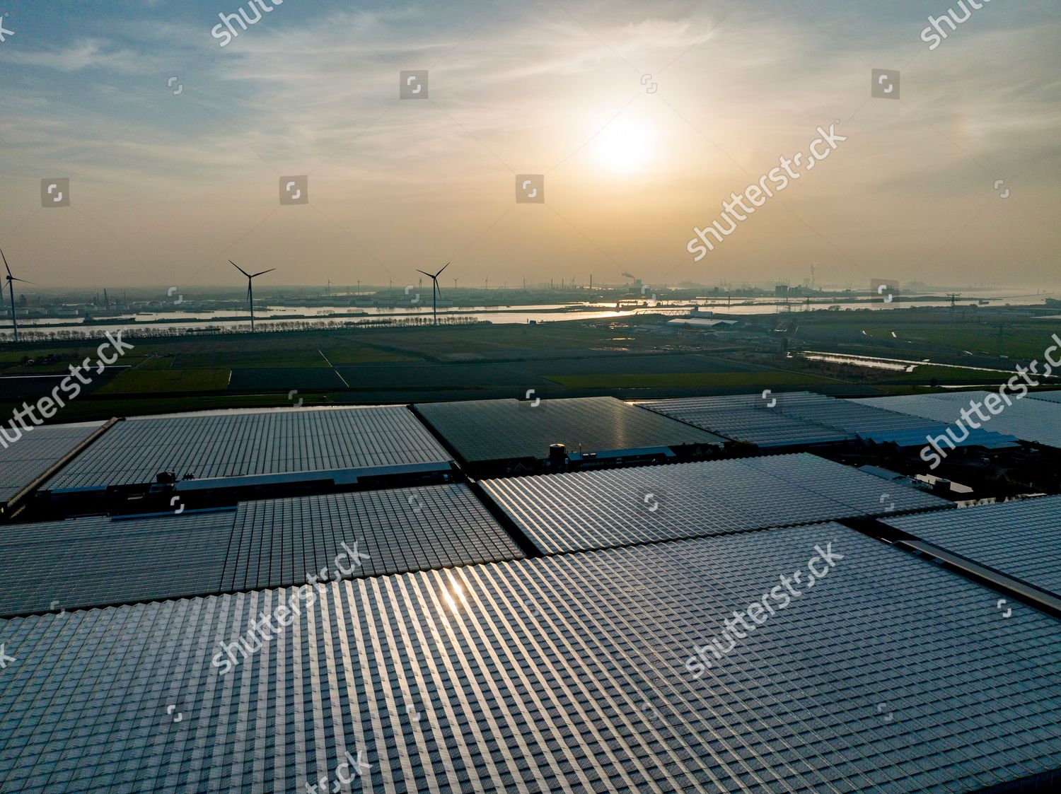 Greenhouses Located Westland Westland Best Known Editorial Stock Photo