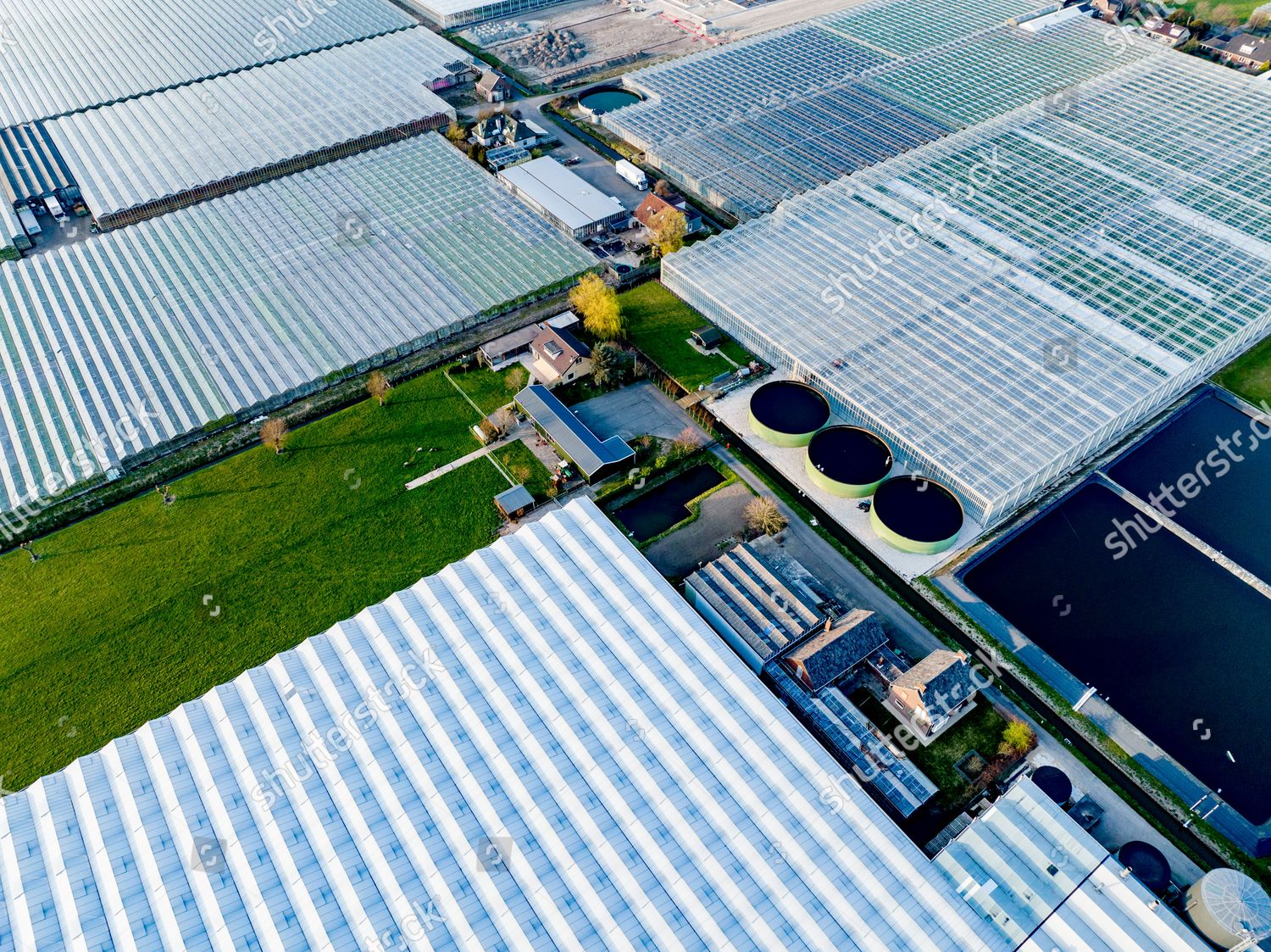 Greenhouses Located Westland Westland Best Known Editorial Stock Photo ...