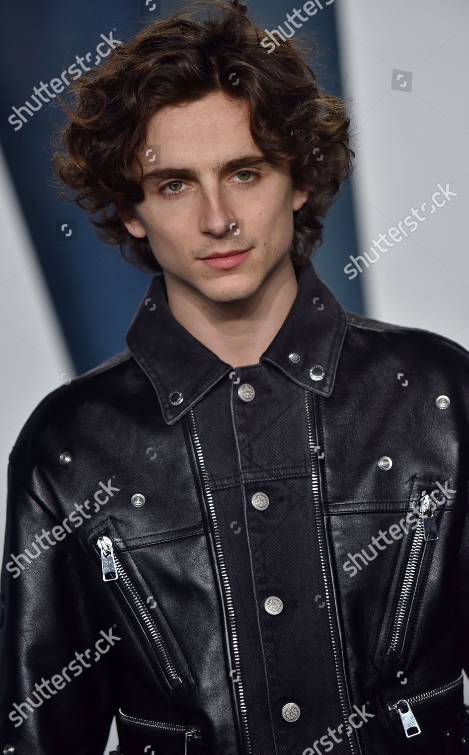 March 27, 2022, Beverly Hills, CA, USA: LOS ANGELES - MAR 27: Timothee  Chalamet at the Vanity Fair Oscar Party at Wallis Annenberg Center for the  Performing Arts on March 27, 2022