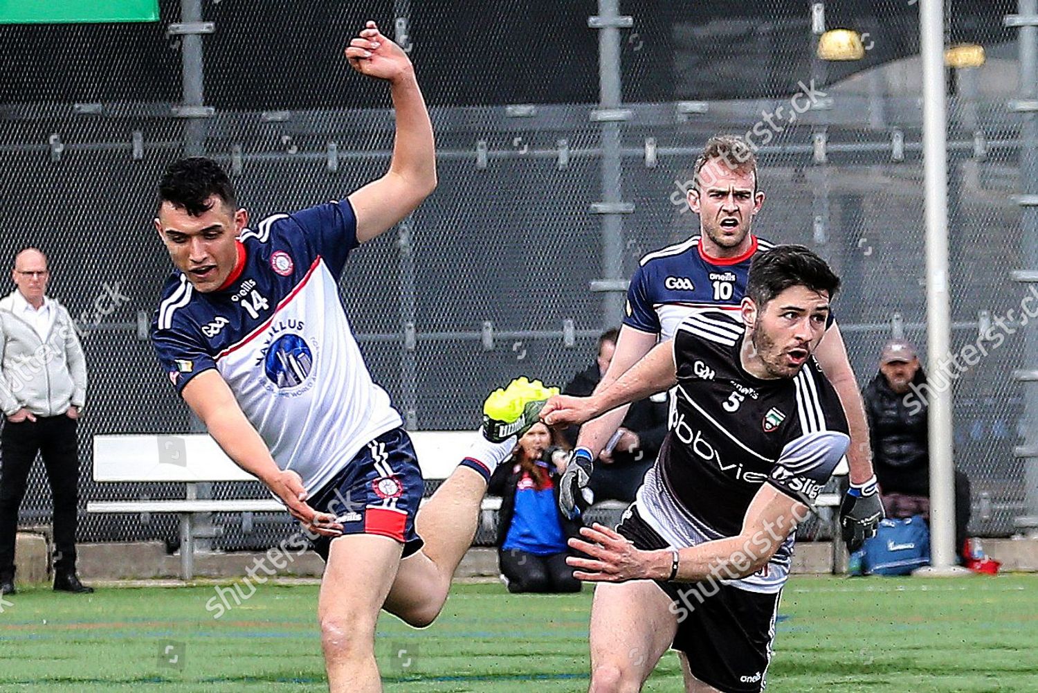 New York Vs Sligo New Yorks Editorial Stock Photo Stock Image