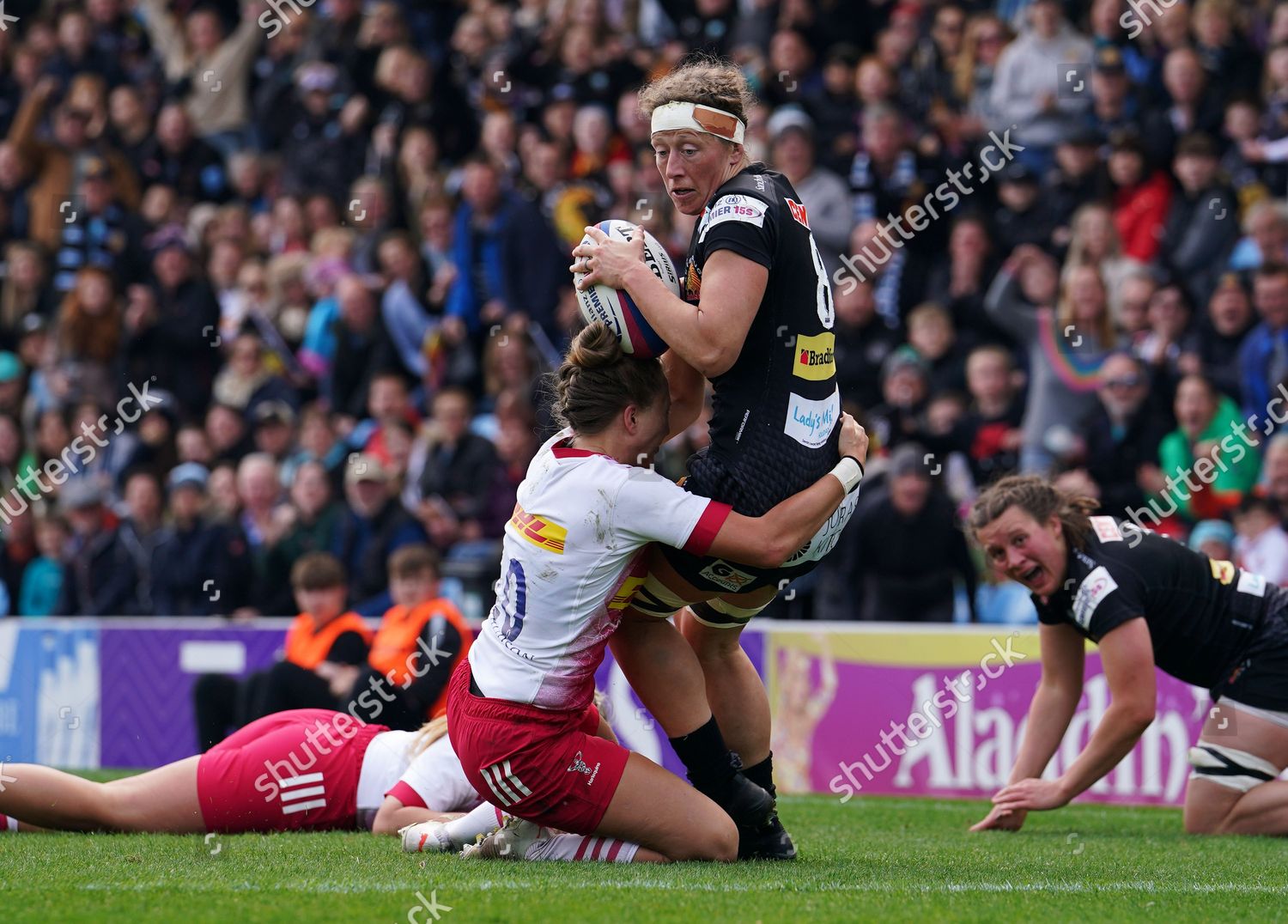 Kate Zackary Exeter Chiefs Brought Down Editorial Stock Photo Stock