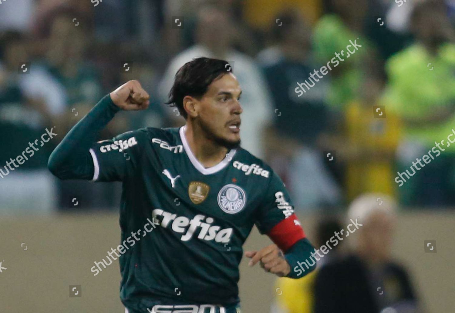 Gustavo Gomes Palmeiras Celebrates His Goal Editorial Stock Photo ...