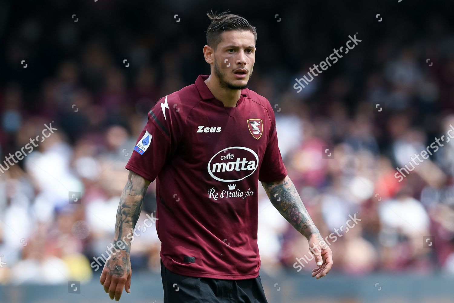 Pasquale Mazzocchi Us Salernitana 1919 Looks Editorial Stock Photo ...