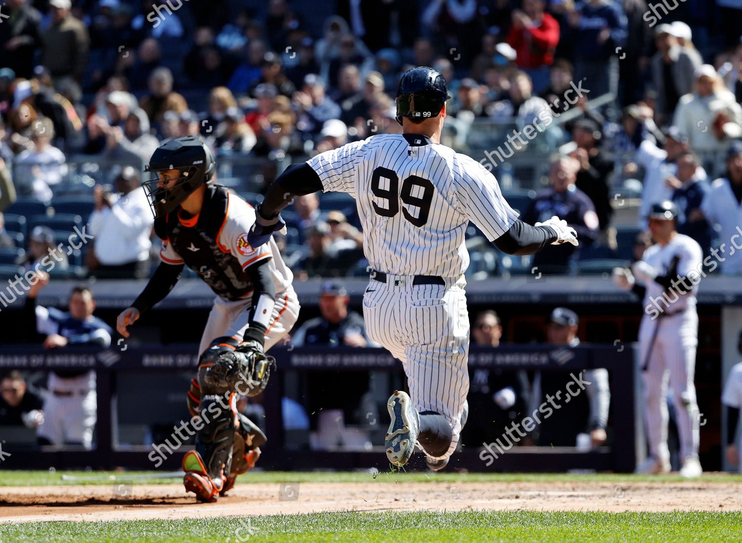 New York Yankees Right Fielder Giancarlo Editorial Stock Photo - Stock  Image
