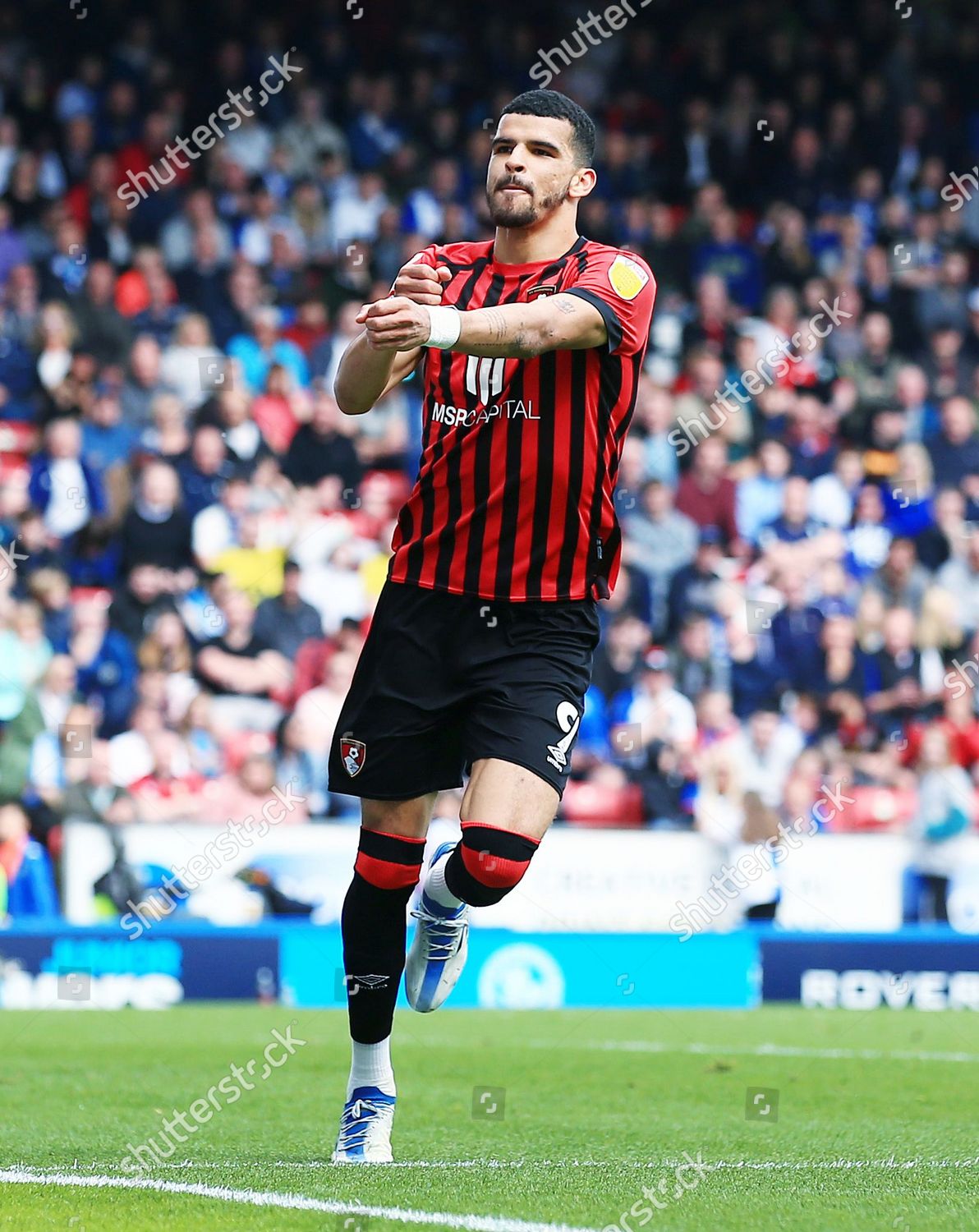 Dominic Solanke Bournemouth Celebrates Scoring Opening Editorial Stock ...