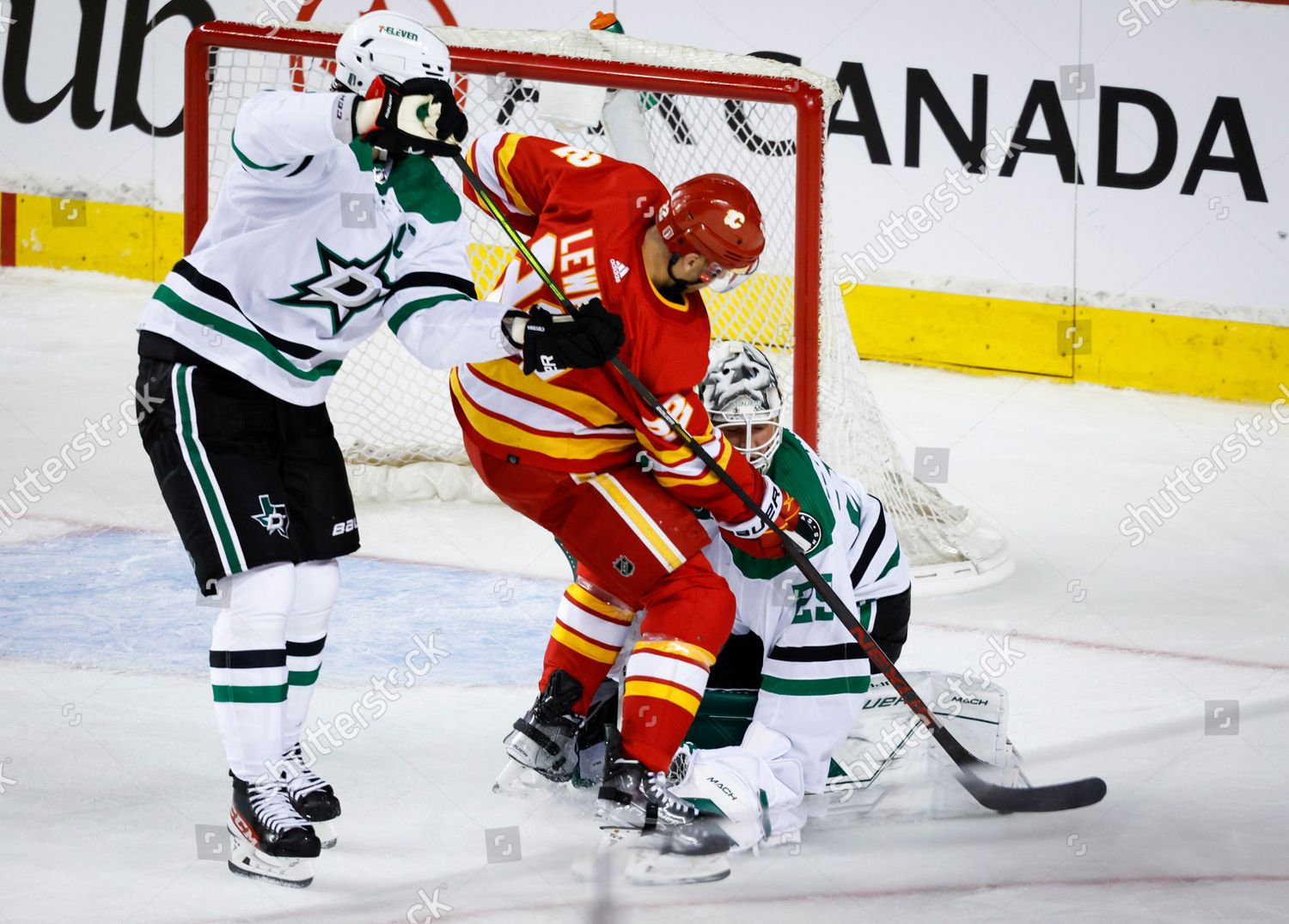 Dallas Stars Goalie Jake Oettinger Right Editorial Stock Photo Stock