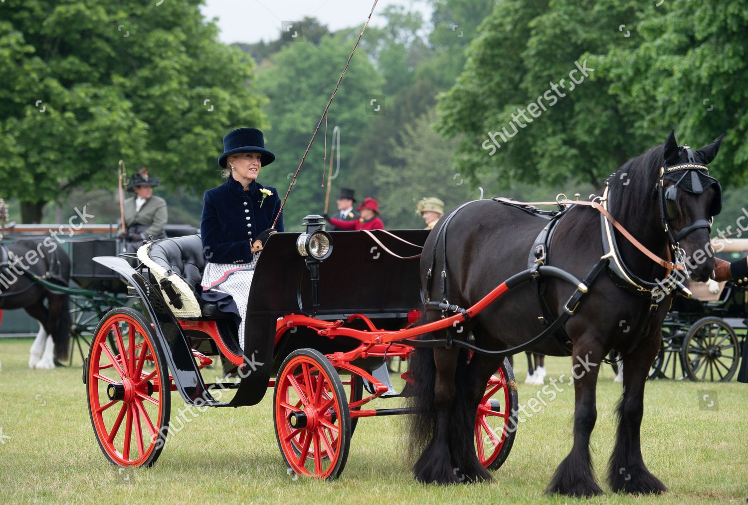 Sophie Countess Wessex Driving Carriage Champagne Editorial Stock Photo ...