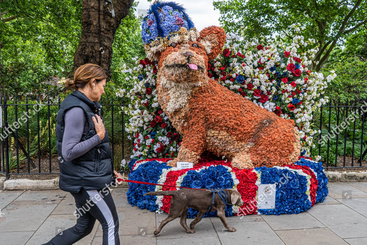 Clarence Corgi Chelsea Bloom Floral Installations Editorial Stock Photo ...