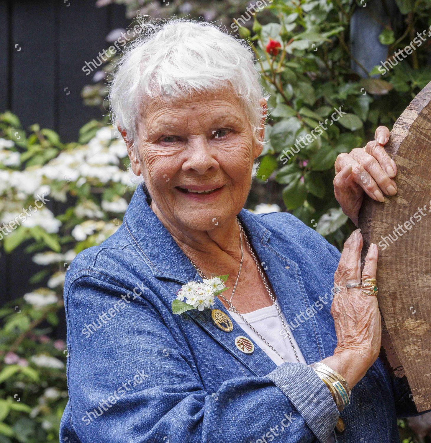 Dame Judy Dench Editorial Stock Photo - Stock Image | Shutterstock