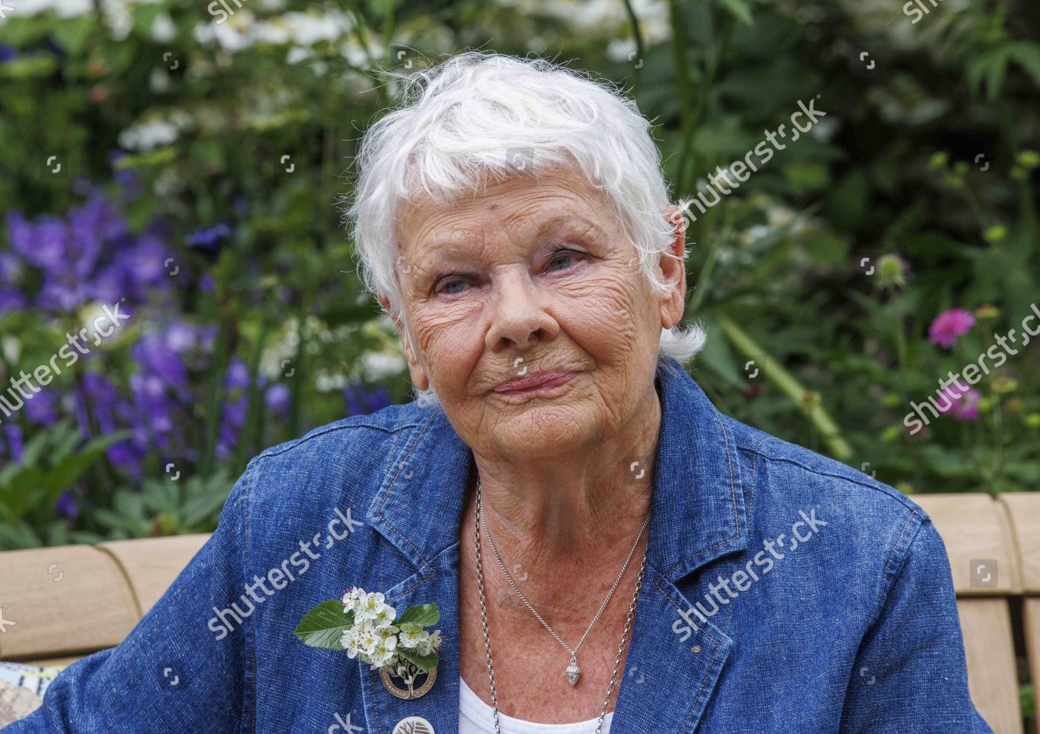 Dame Judy Dench Editorial Stock Photo - Stock Image | Shutterstock
