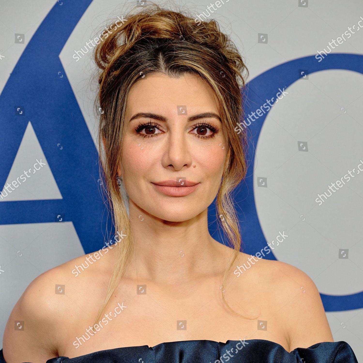 Nasim Pedrad Editorial Stock Photo - Stock Image | Shutterstock