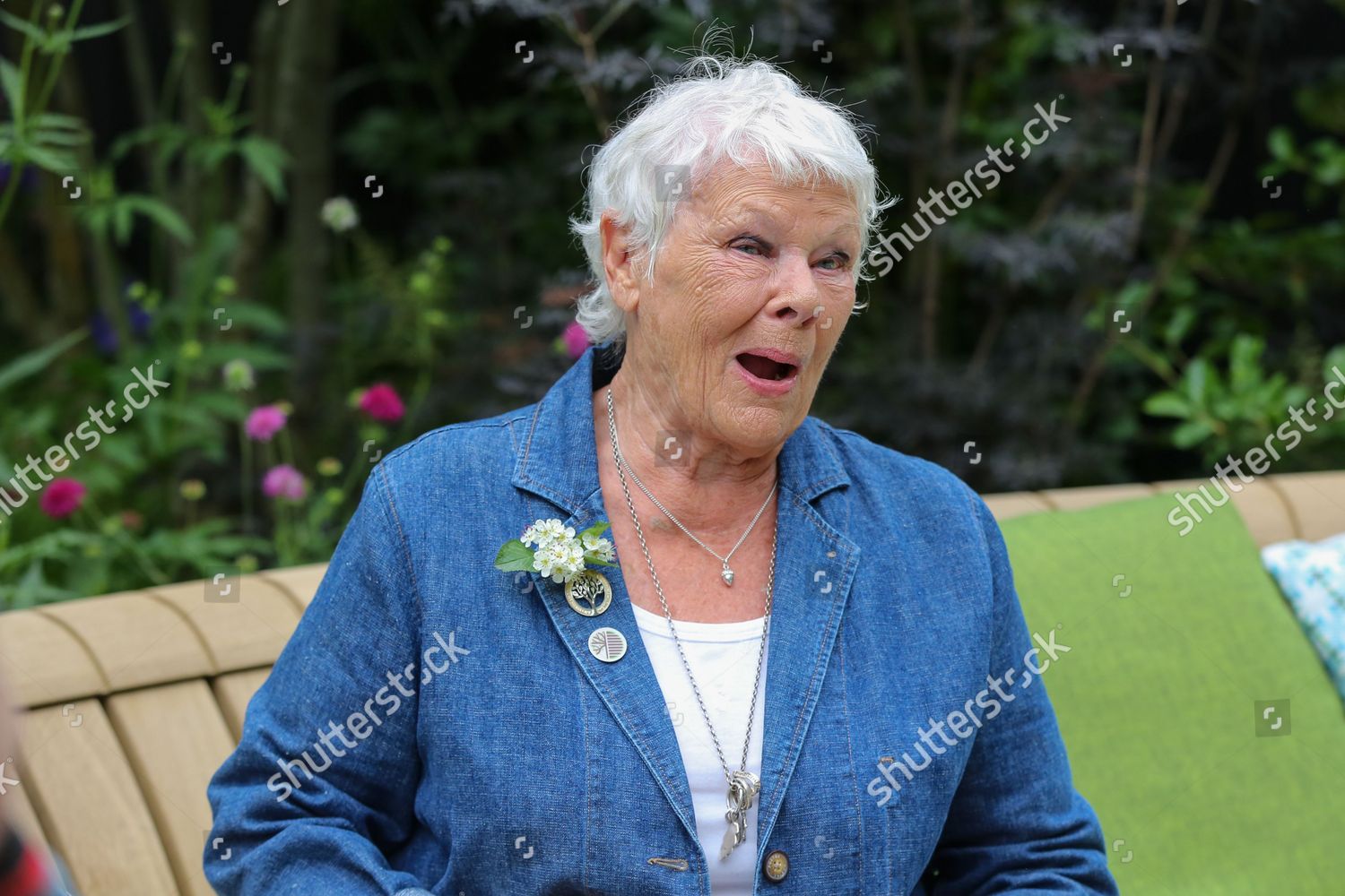 Dame Judith Dench Attends Chelsea Flower Editorial Stock Photo - Stock