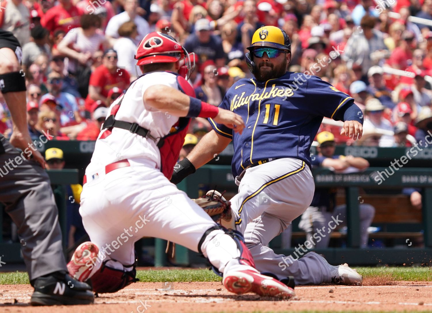 St Louis Cardinals Cardinals Catcher Andrew Editorial Stock Photo