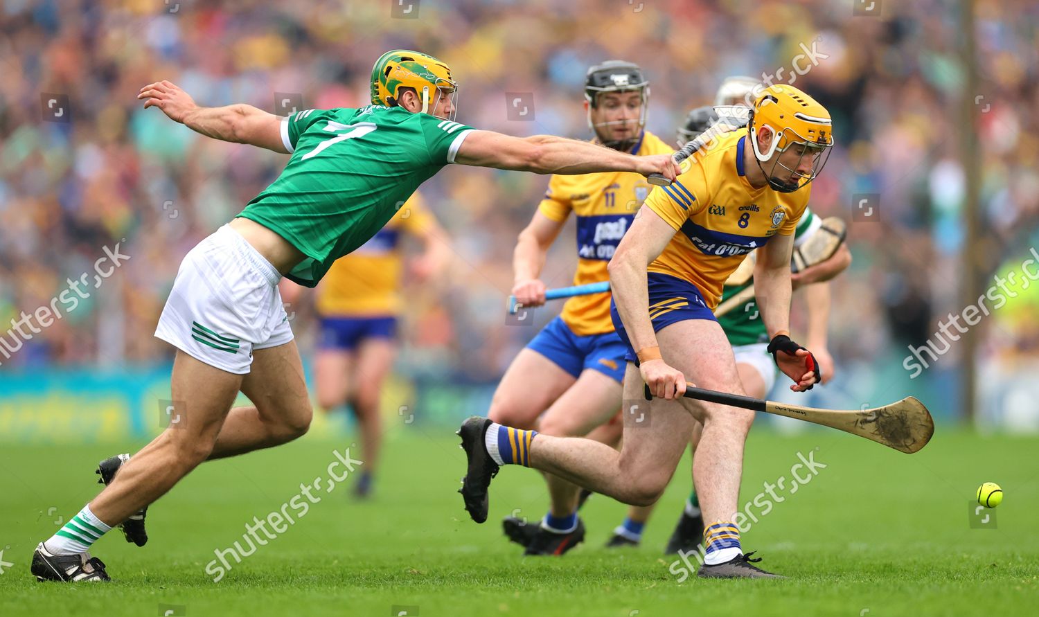 Clare Vs Limerick Limericks Dan Morrissey Editorial Stock Photo Stock