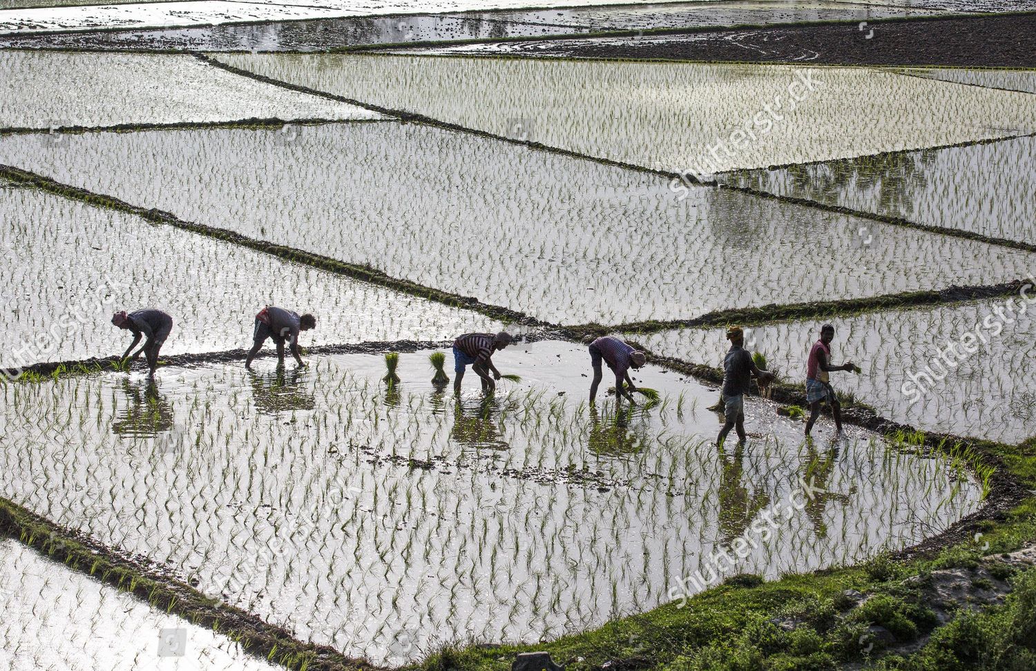 220606 Srinagar June 6 2022 Xinhua Editorial Stock Photo - Stock Image ...