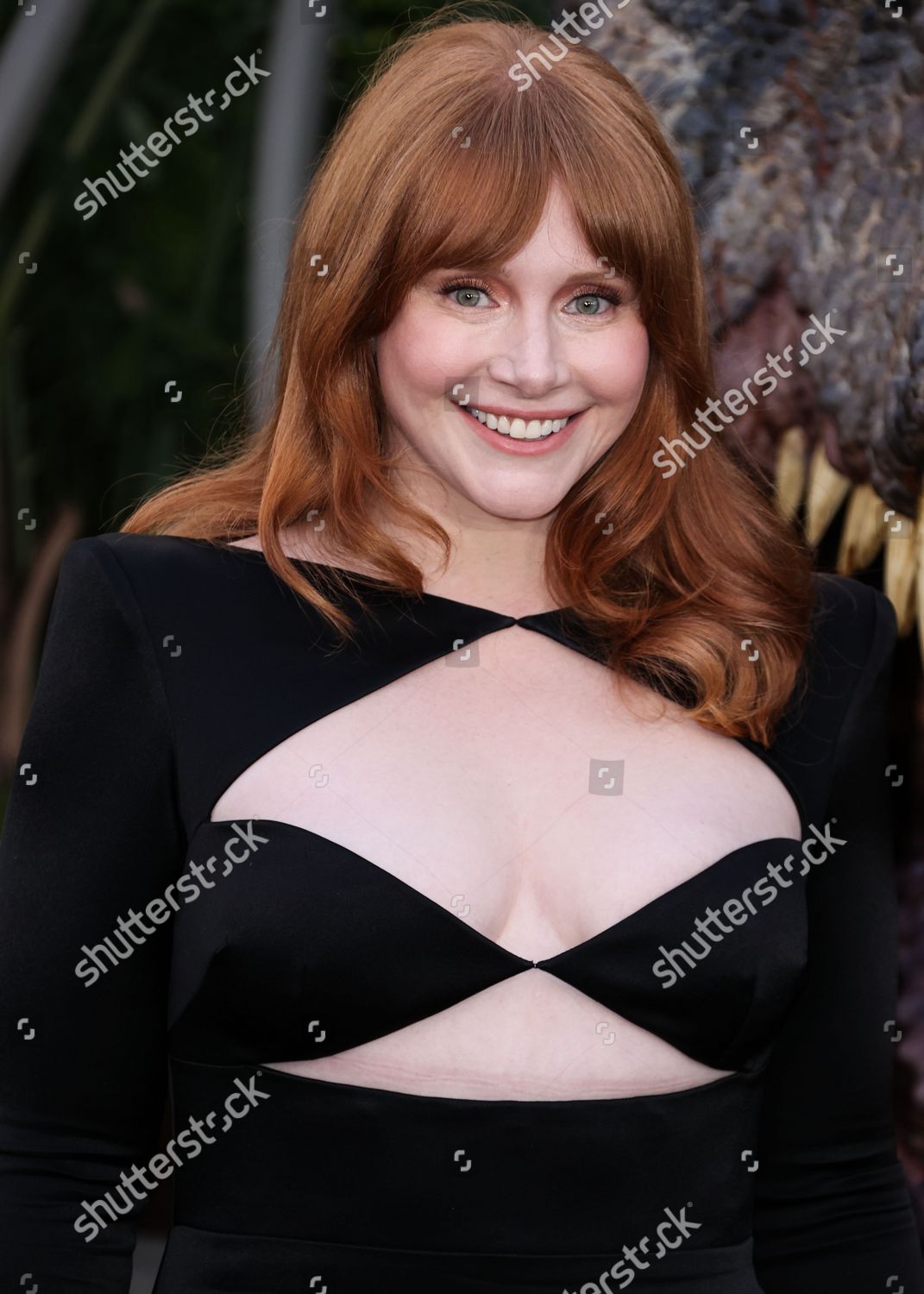 Bryce dallas howard bra size