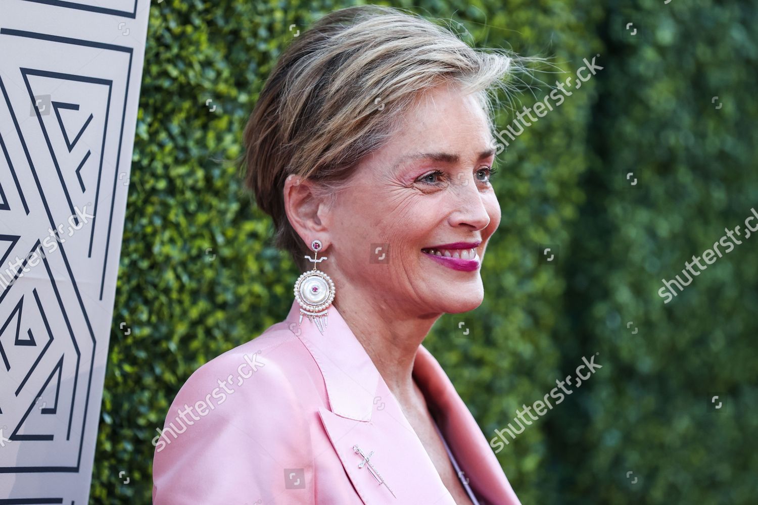 American Actress Sharon Stone Arrives 2022 Editorial Stock Photo   Shutterstock 12981204aw 