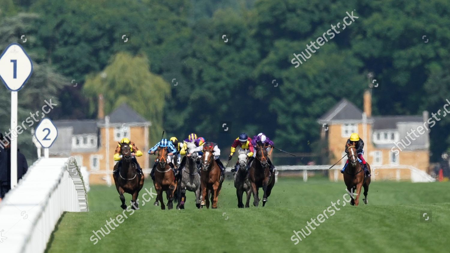 Runners Ascot Gold Cup Furlong Run Editorial Stock Photo Stock Image