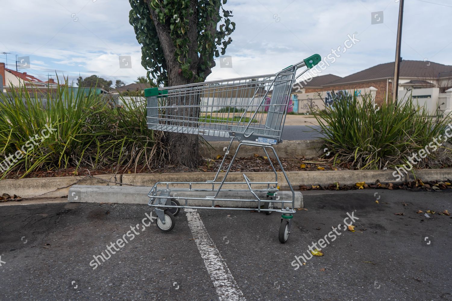 Supermarket Trolleys Outsiode Shopping Centre Adelaide Editorial Stock