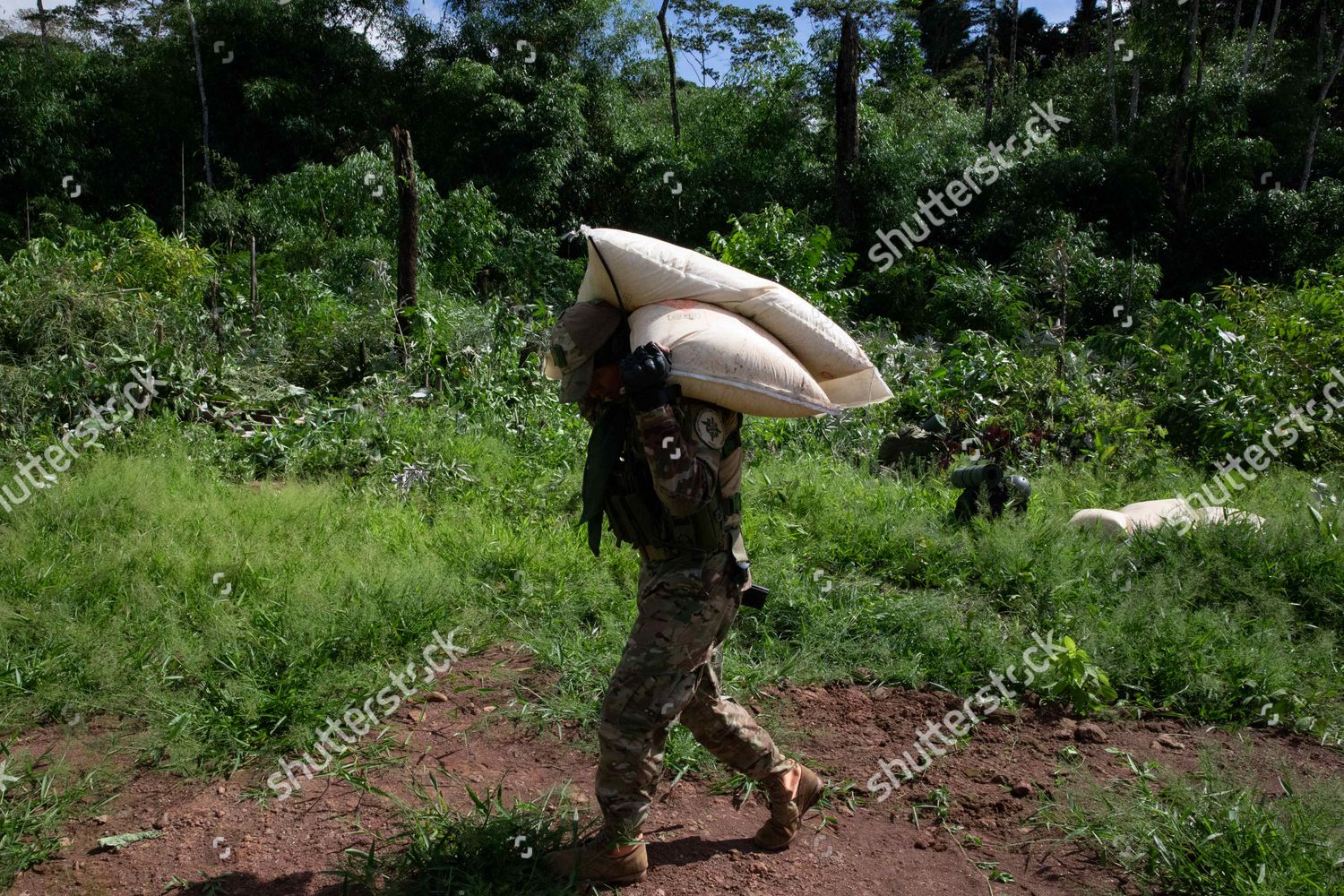 Members Peruvian Armed Forces Participate Operation Editorial Stock