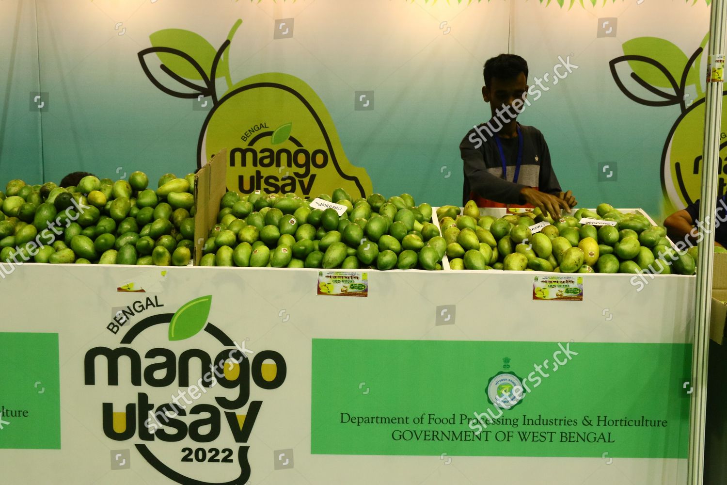 Inaugural Session Bengal Mango Utsav 2022 Editorial Stock Photo Stock