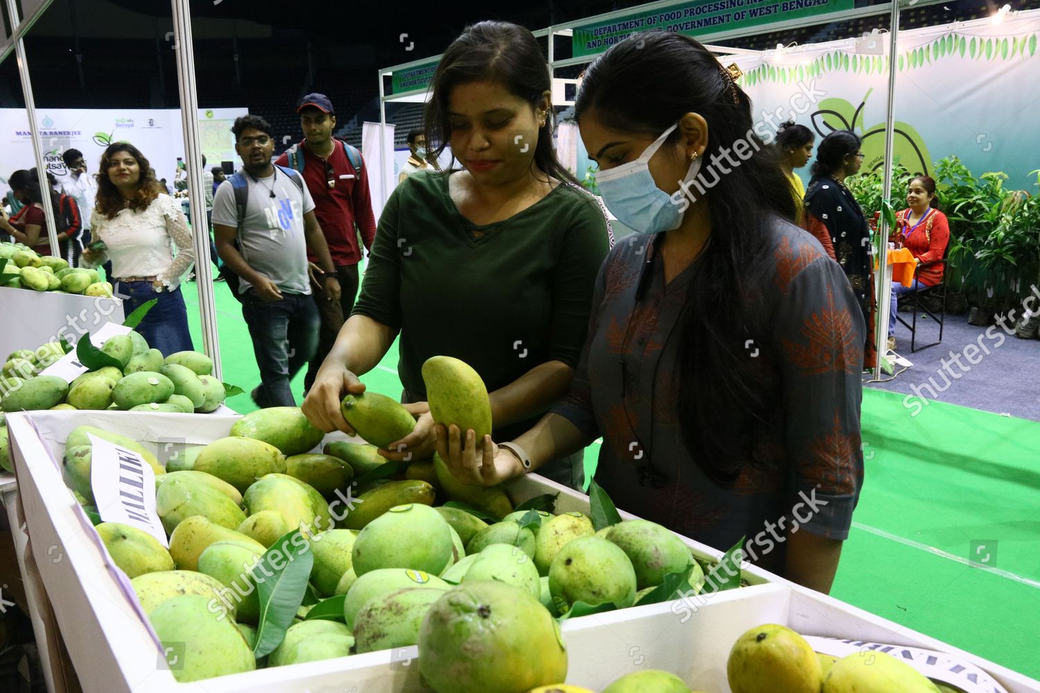 Inaugural Session Bengal Mango Utsav 2022 Editorial Stock Photo Stock