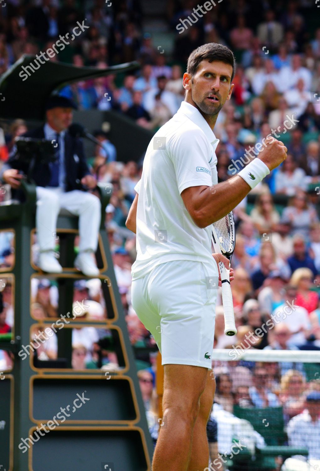 Novak Djokovic Celebrates Victory His Second Editorial Stock Photo ...