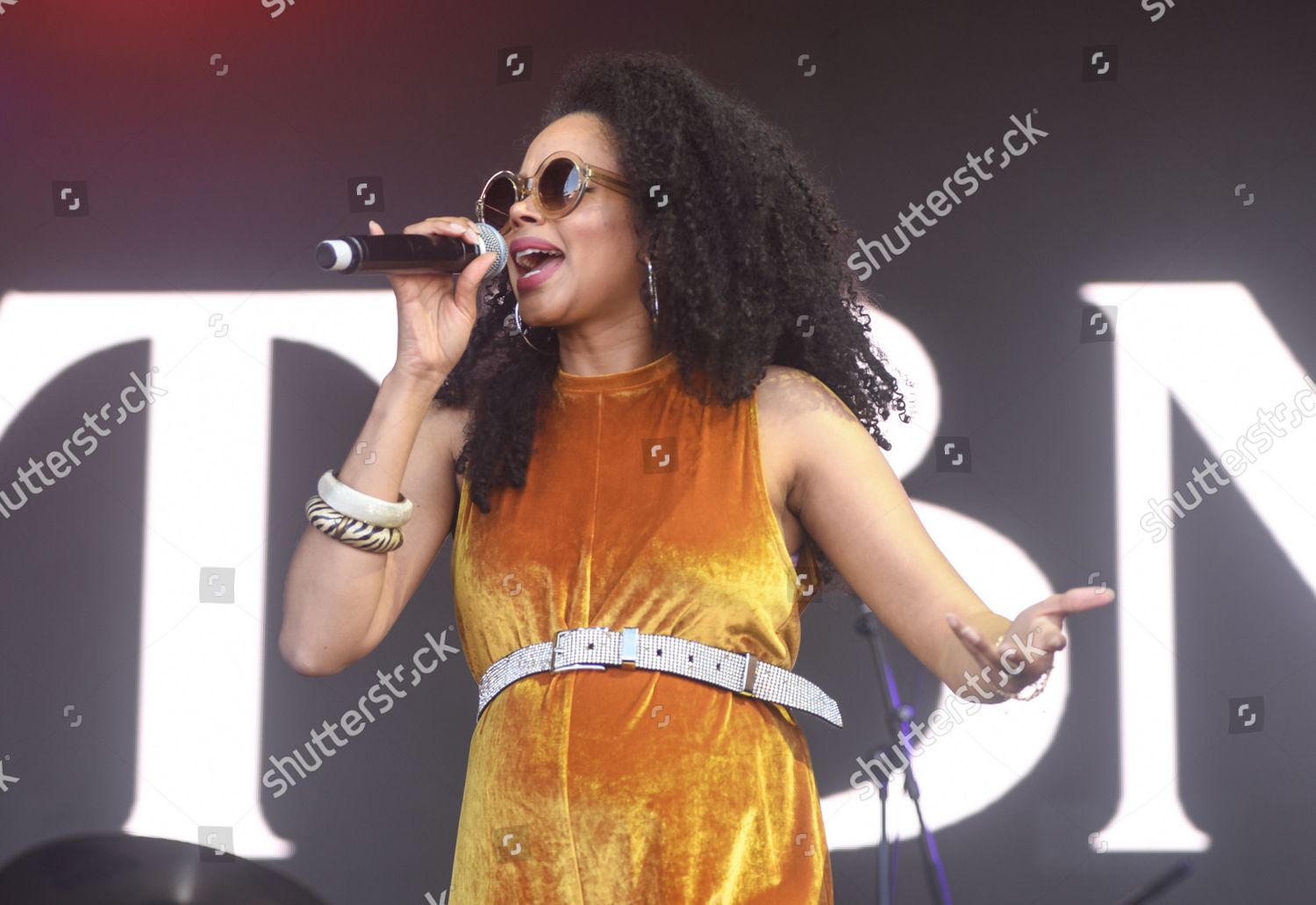 Angela Ricci Brand New Heavies Editorial Stock Photo - Stock Image ...
