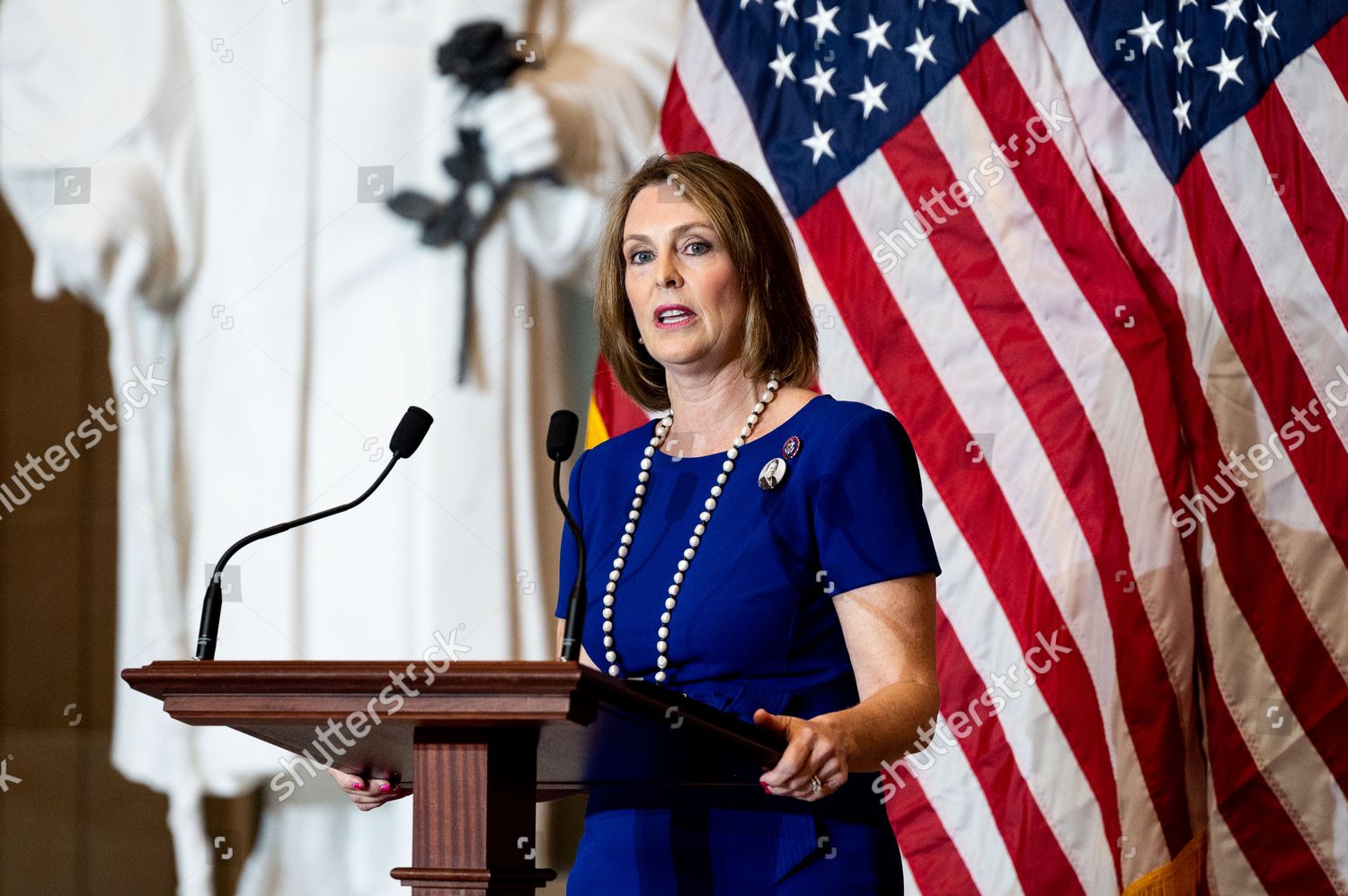 Representative Kathy Castor Dfl Speaking Statue Editorial Stock Photo