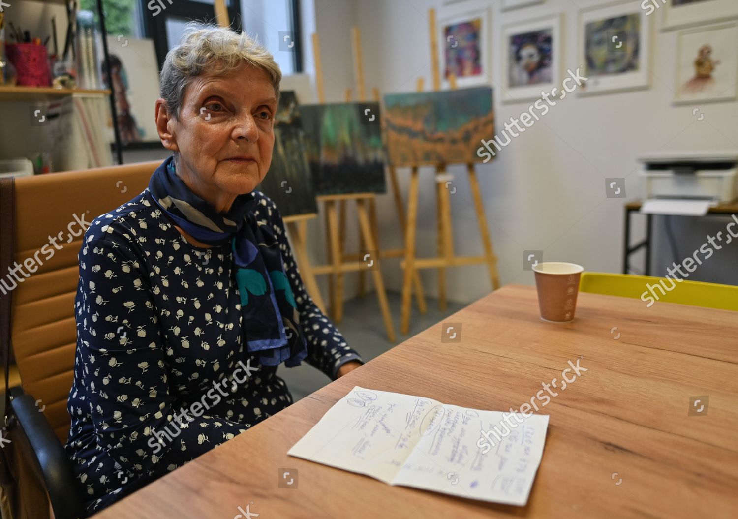 Svetlana Gannushkina Russian Mathematician Human Rights Editorial Stock