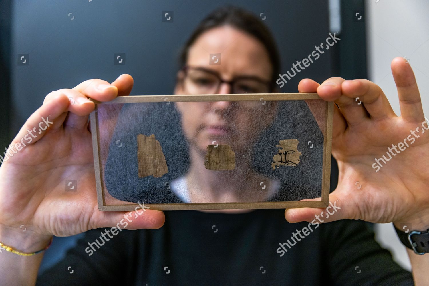 Dr Susanne Toepfer Head Papyrus Collection Editorial Stock Photo ...