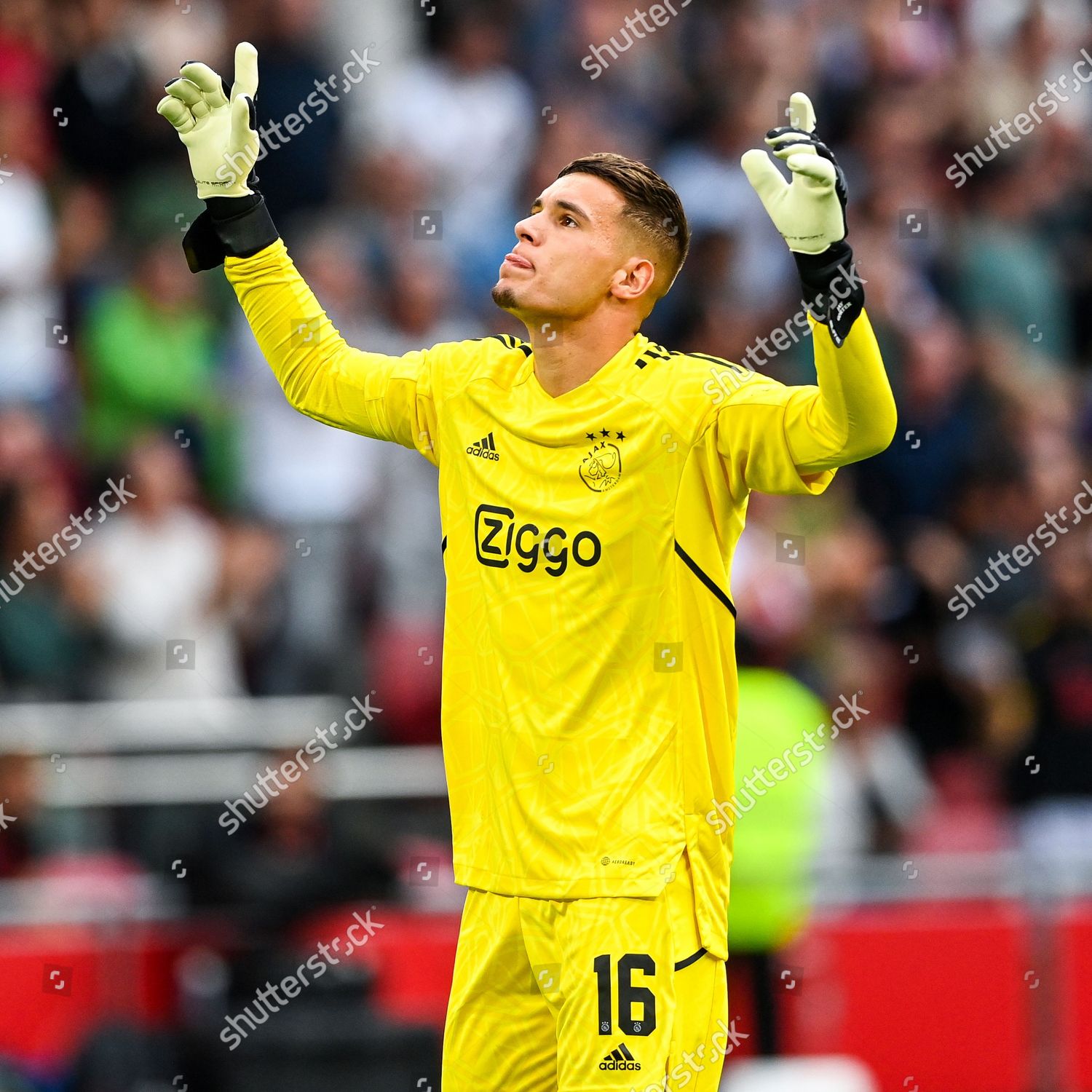 Ajax Goalkeeper Jay Gorter Celebrates Steven Editorial Stock Photo ...