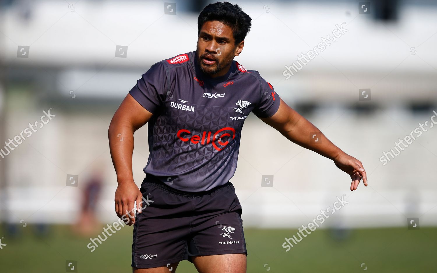 Ben Tapuai Cell C Sharks Editorial Stock Photo - Stock Image | Shutterstock