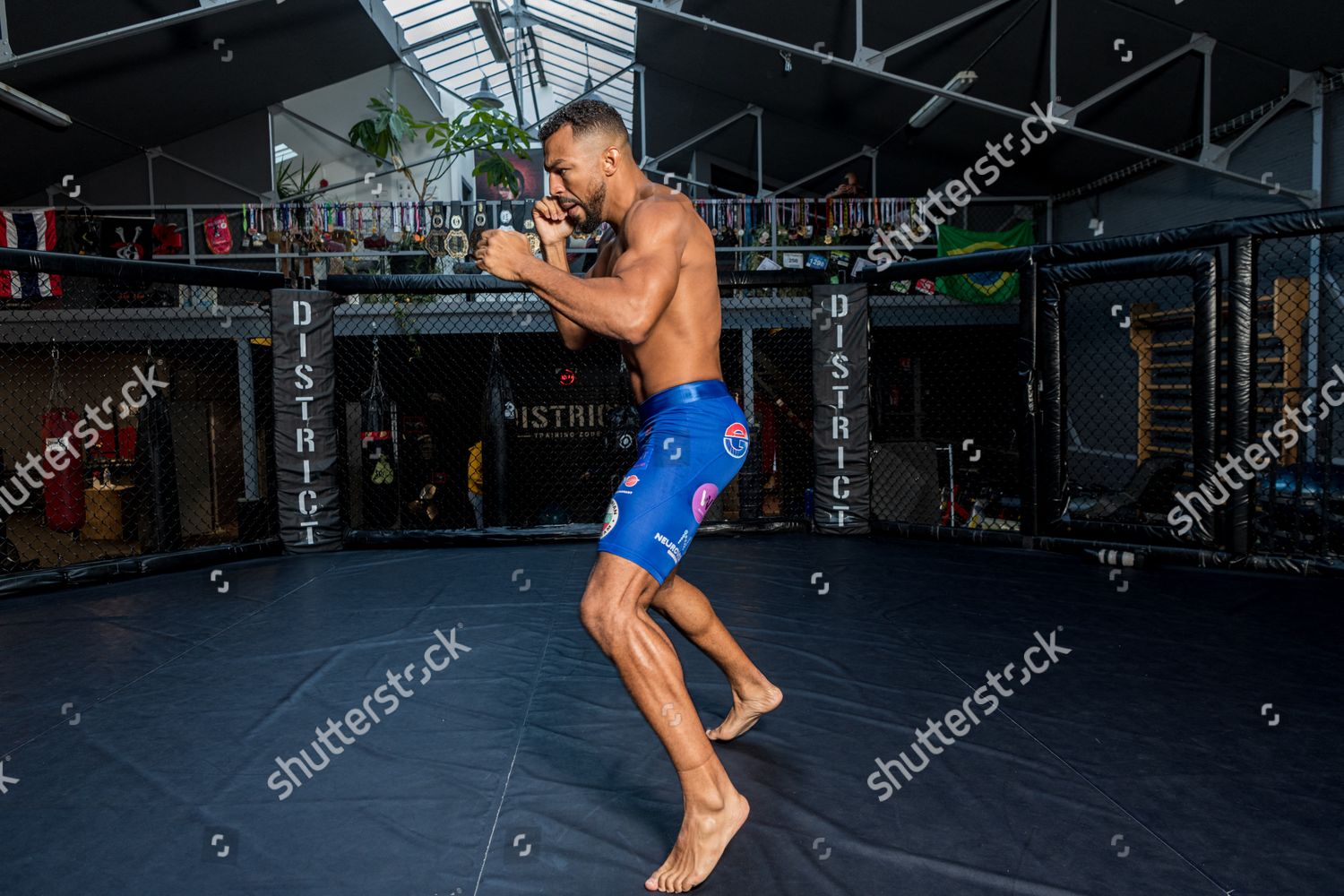 Portrait Mixed Martial Arts Mma French Editorial Stock Photo - Stock ...