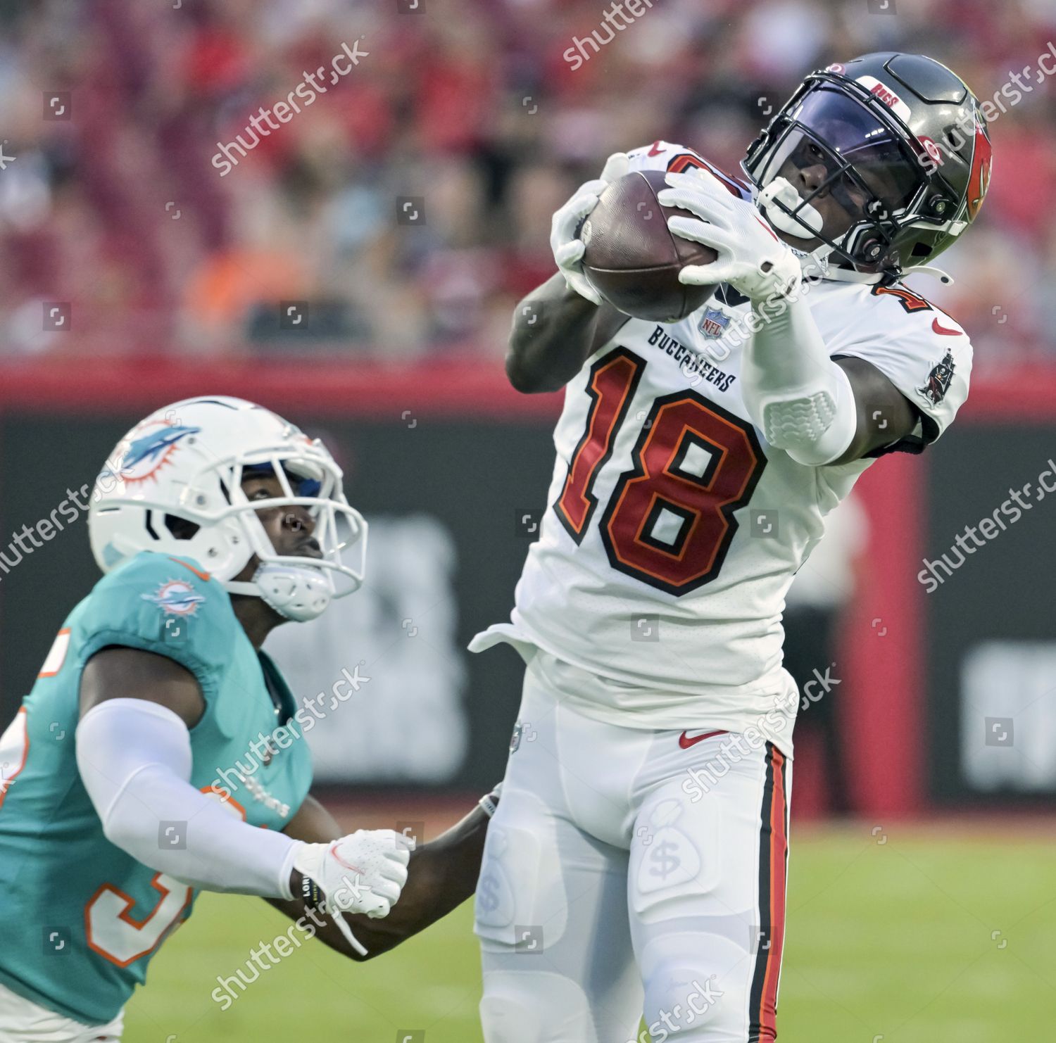 Tampa Bay Buccaneers Tyler Johnson 18 Editorial Stock Photo - Stock ...