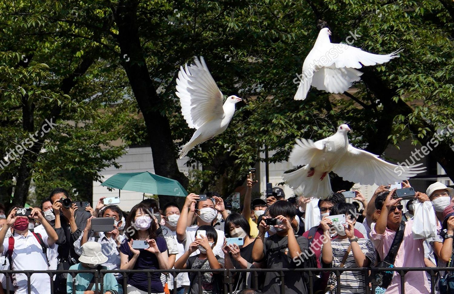 Visitors Release White Doves Into Air Editorial Stock Photo Stock