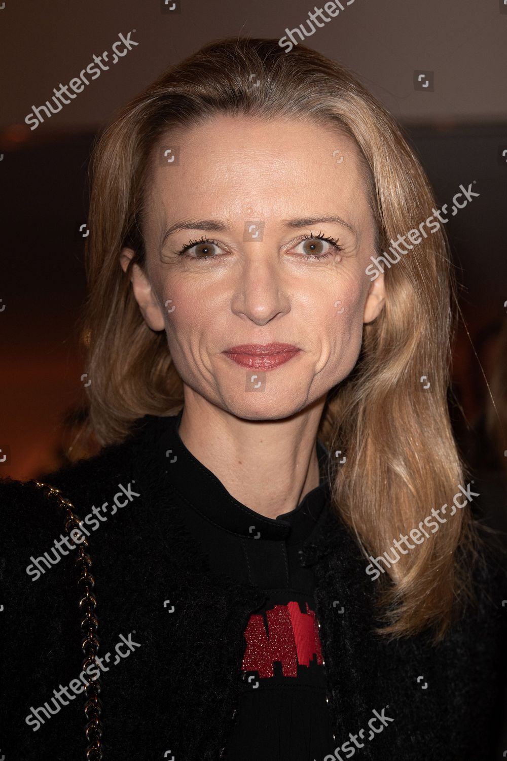 Delphine Arnault Attends Bold Woman Award Editorial Stock Photo - Stock ...