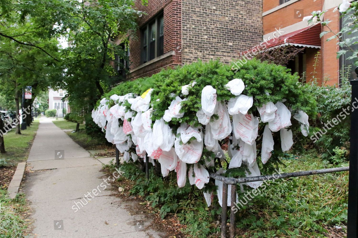 Whimsical Art Installation Piece Front Residential Editorial Stock ...