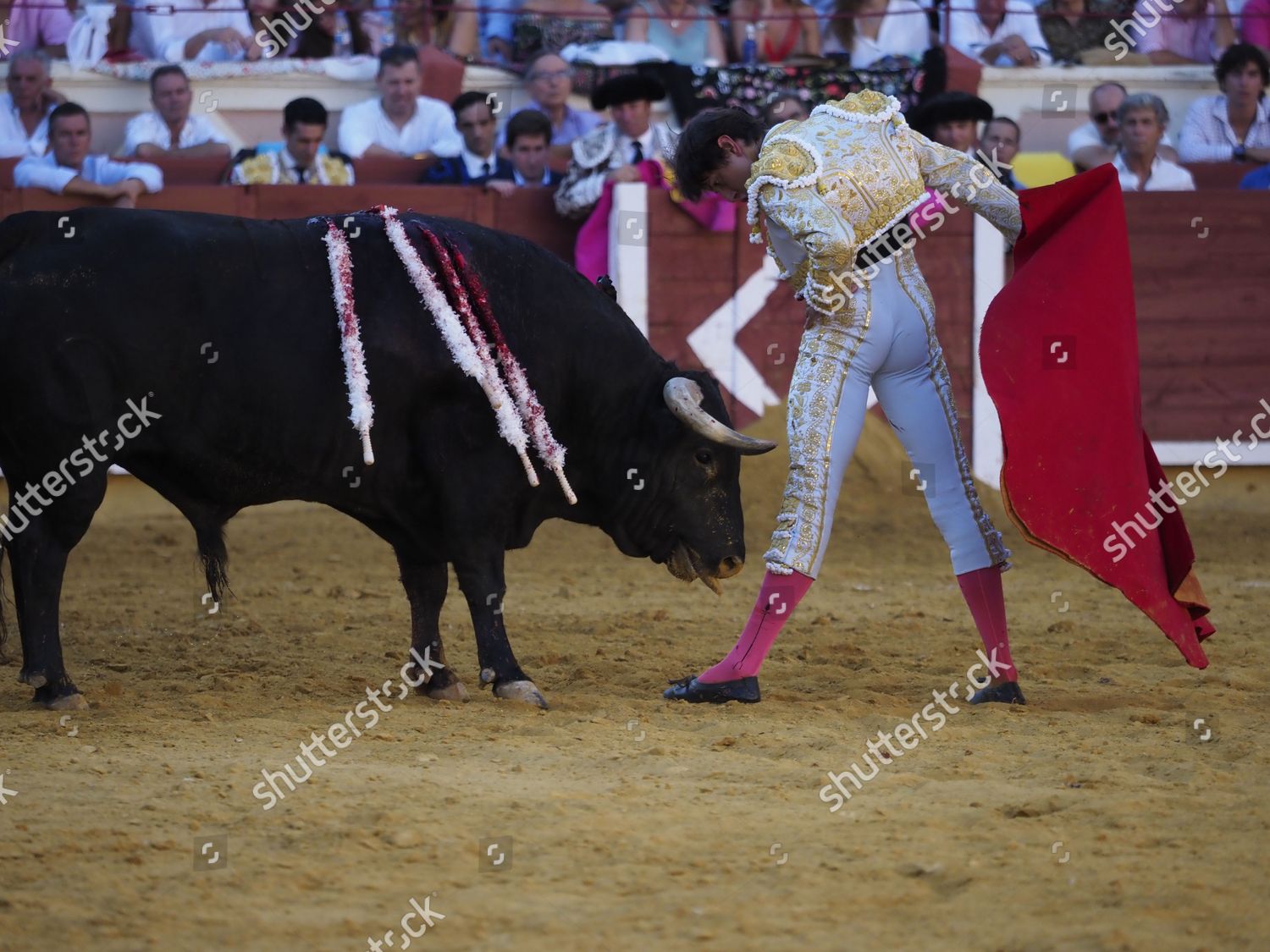 Peruvianspanish Bullfighter Andres Roca Rey Action Editorial Stock ...