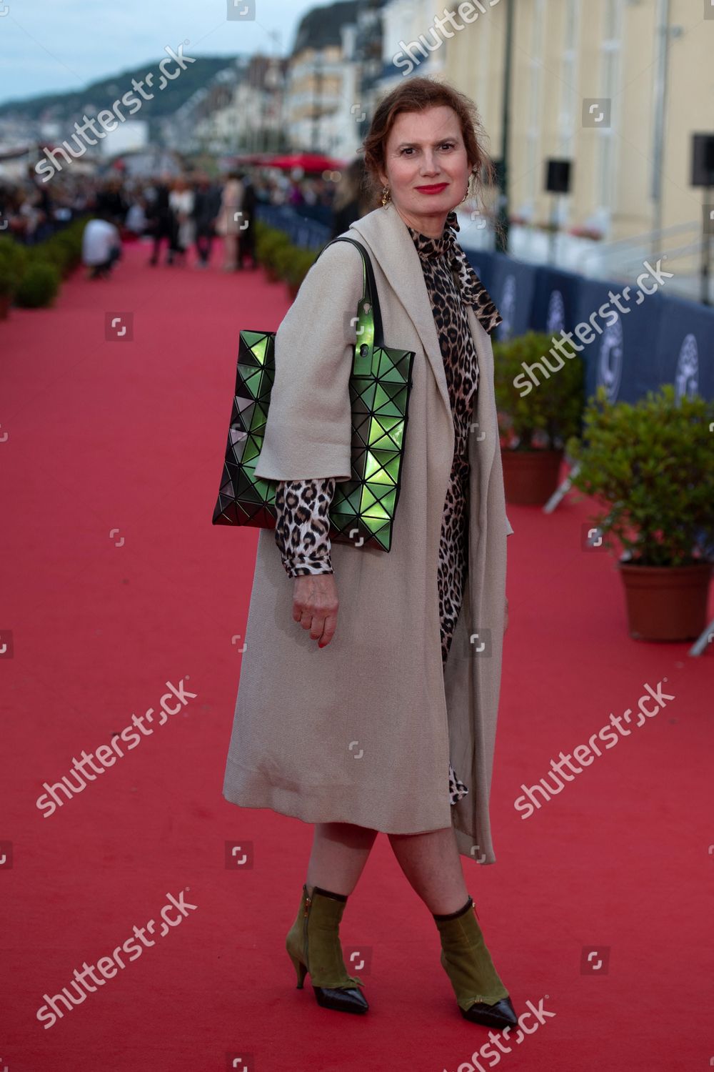 Lou Attending Red Carpet During Editorial Stock Photo Stock